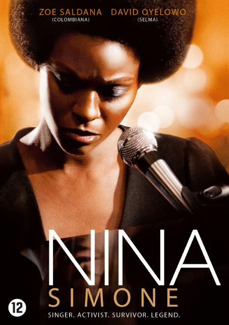 Movie poster for Nina