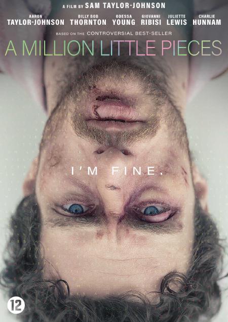 Movie poster for A Million Little Pieces