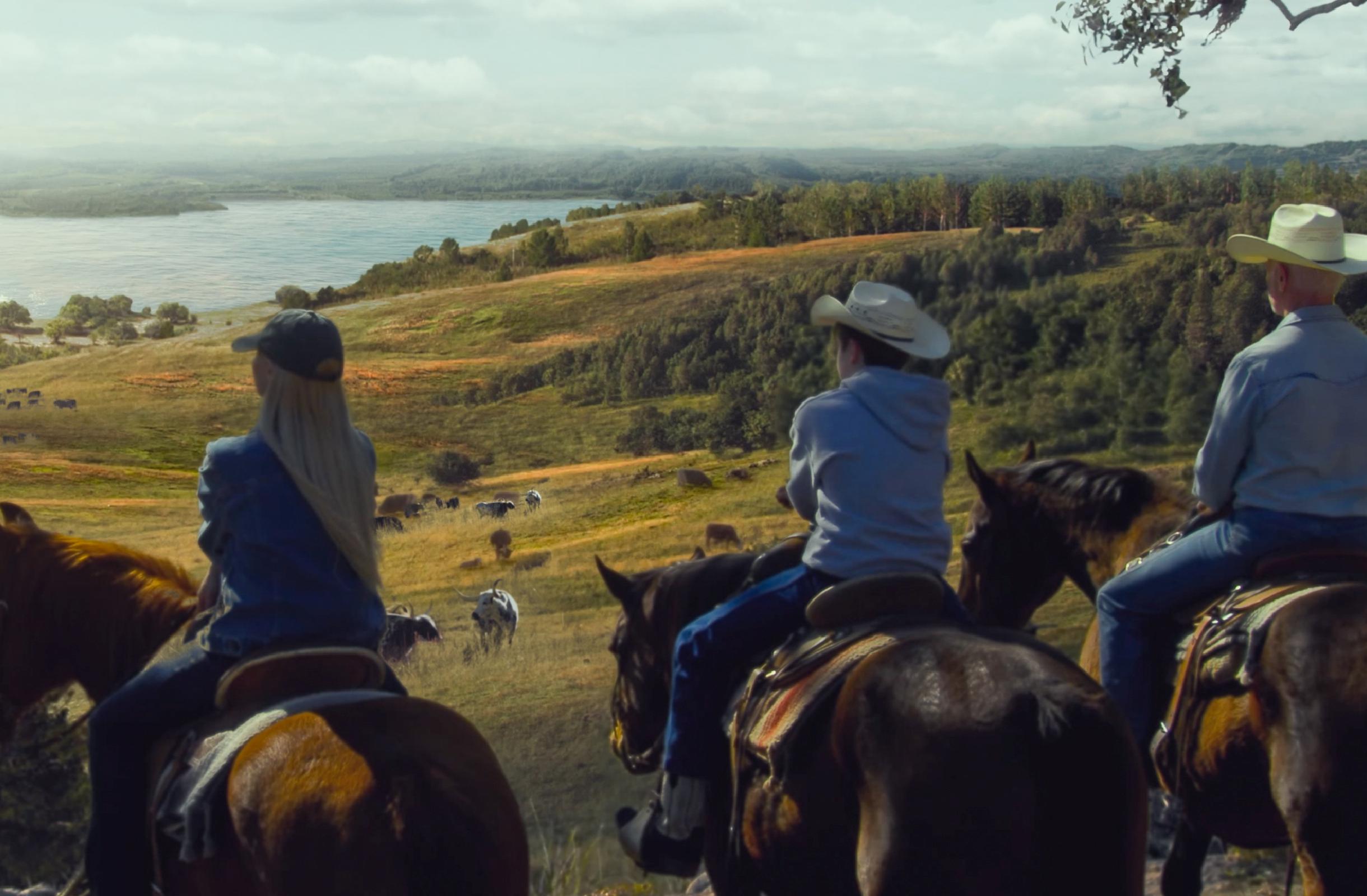 The Last Rodeo